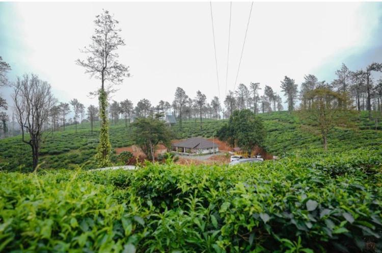 1921 The Estate Villa Wayanad Exterior foto